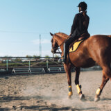 【競馬】今年のG1スケジュールは?大注目レースも紹介!