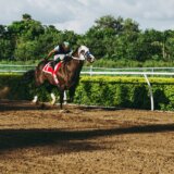 競馬予想におけるオッズの重要性とは?